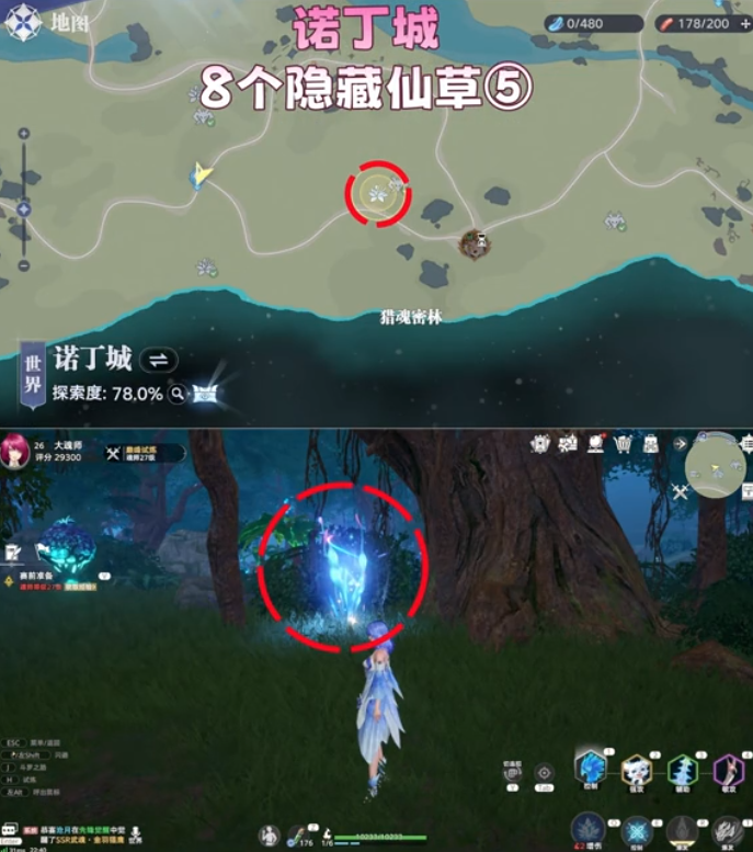 斗罗大陆猎魂世界诺丁城隐藏仙草在哪 8个隐藏仙草位置一览