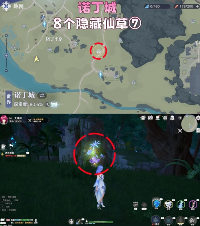 斗罗大陆猎魂世界诺丁城隐藏仙草在哪 8个隐藏仙草位置一览