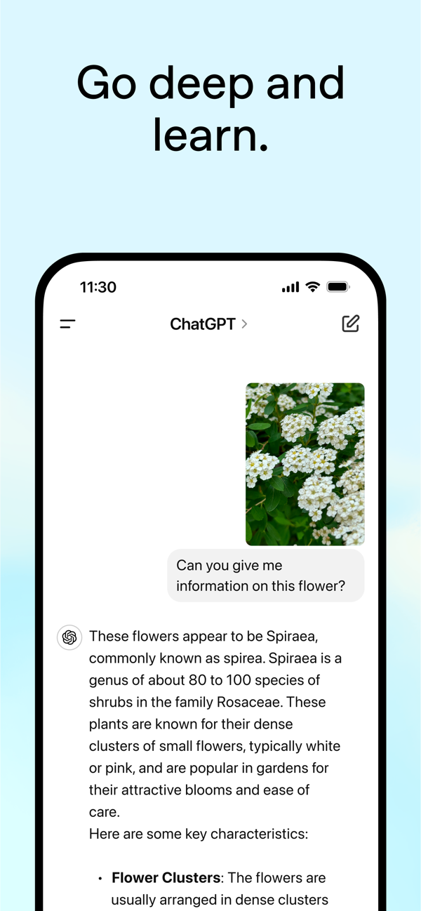 ChatGPT国内版截图3