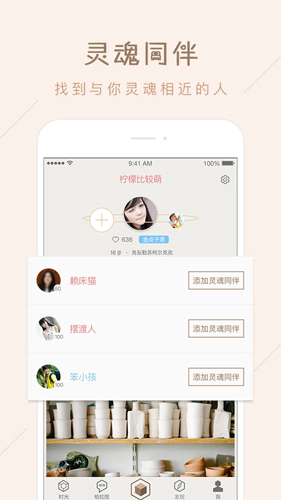 柏拉图截图4