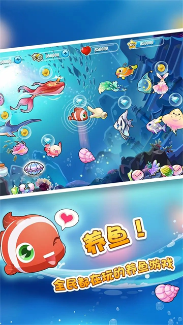 开心水族箱百度版截图4