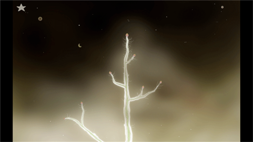 botanicula