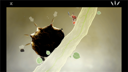 botanicula