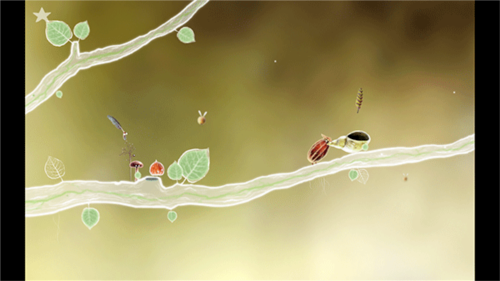 botanicula