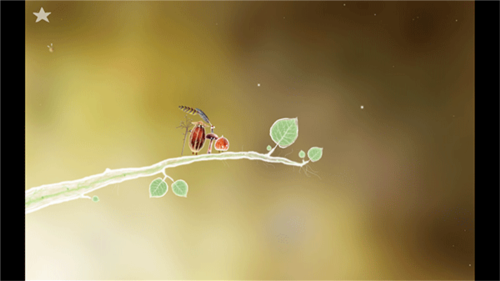 botanicula