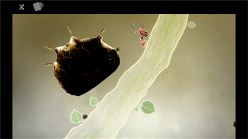 botanicula
