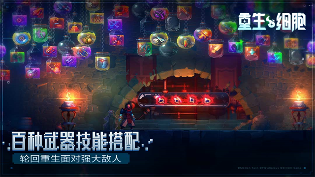 重生细胞bilibili版截图4