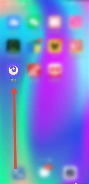 微核app