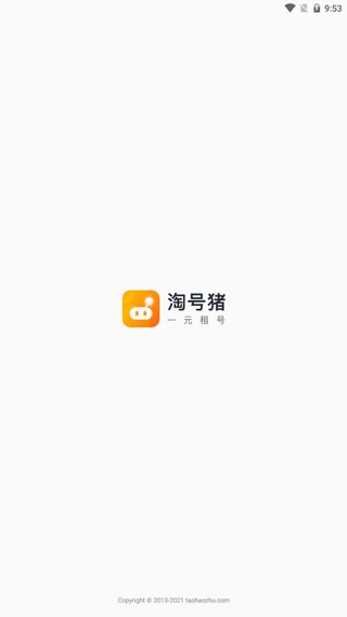淘号猪