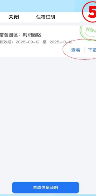 飞鸽互联