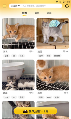 附近有喵
