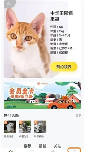 附近有喵