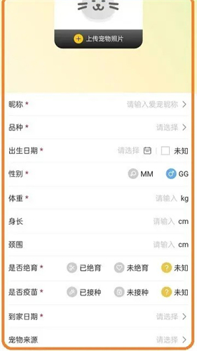 附近有喵