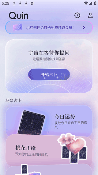 Quin塔罗牌