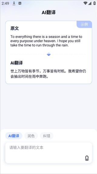 有道小P