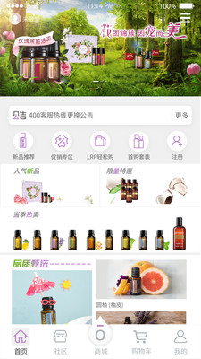 多特瑞