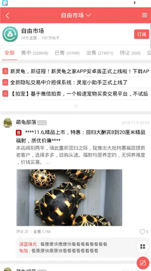灵龟之家