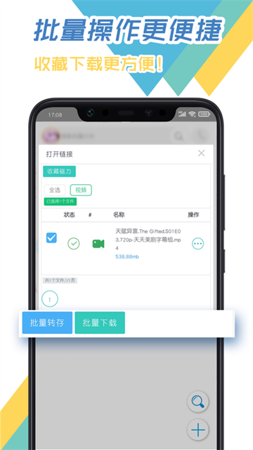 飞鸟下载器截图0