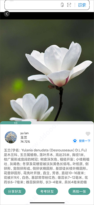 识花君