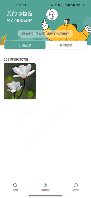 识花君