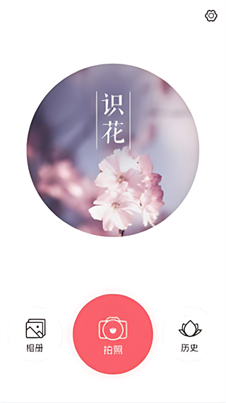 识花君