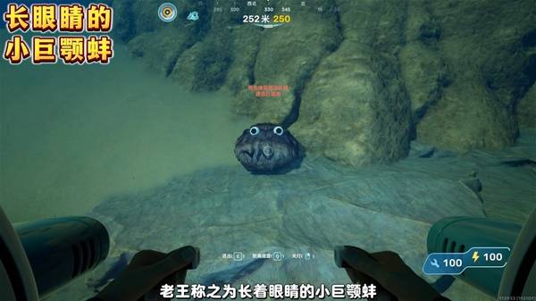 深海迷航2隐藏彩蛋位置 三大彩蛋分布地点