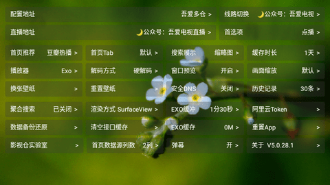 爱TV