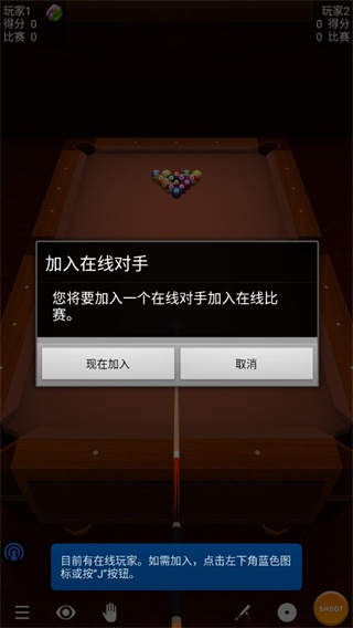 3d台球专业版