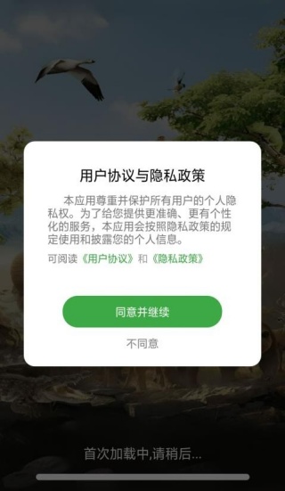 动物世界