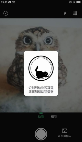 动物世界