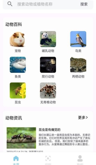 动物世界