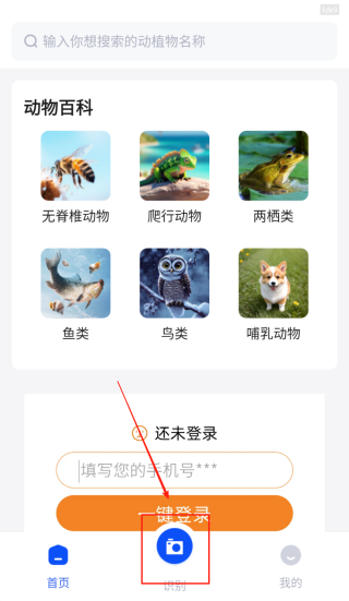 动物世界