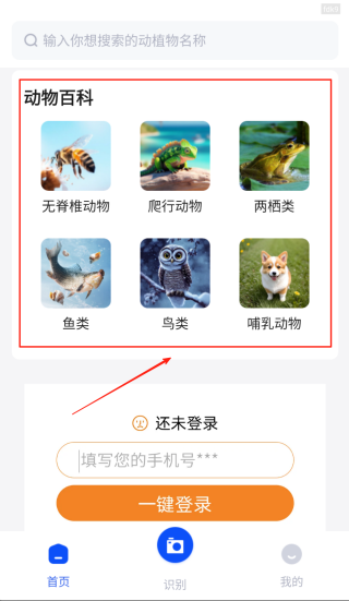 动物世界