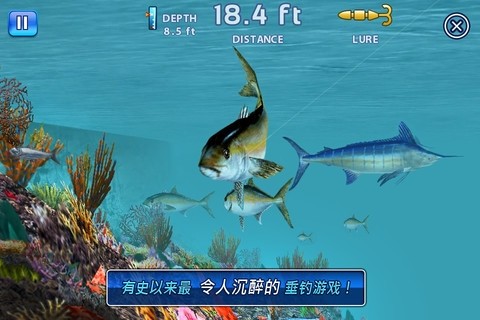 Fishing Kings截图2