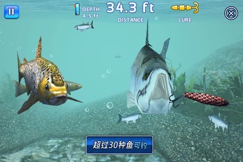 Fishing Kings截图3
