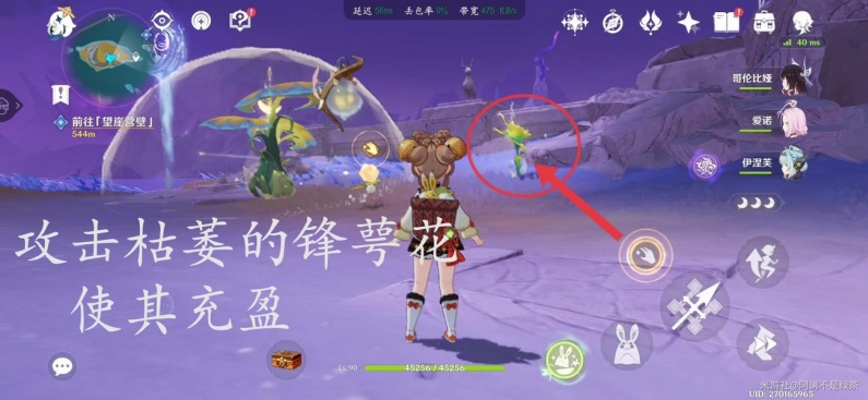 原神凯雷丝之翼解谜快速完成技巧