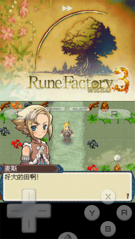 符文工房3截图1