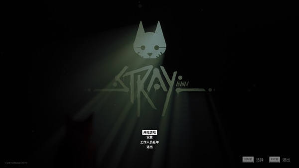 迷失stray