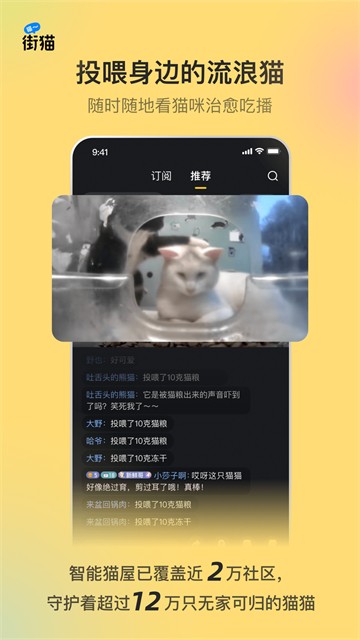 哈啰街猫截图1