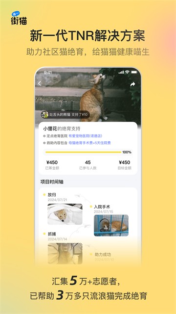 哈啰街猫截图3