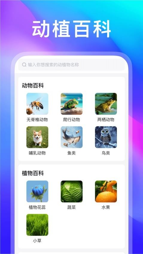 动物世界截图0