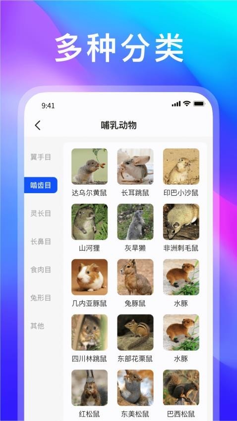 动物世界截图1