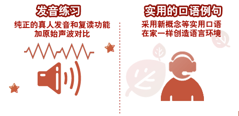单词记忆王