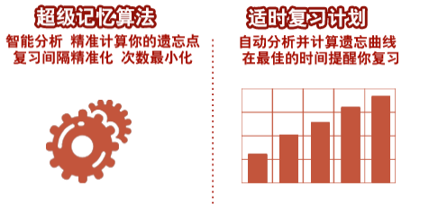 单词记忆王