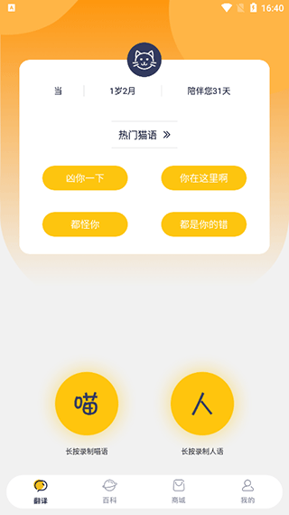 猫语翻译器