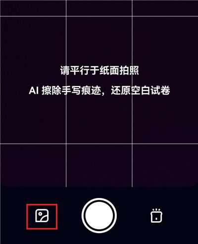 有道小P