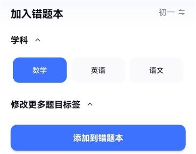 有道小P