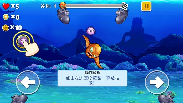 八爪鱼大冒险