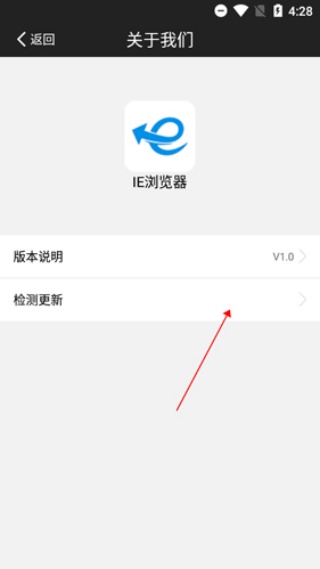IE浏览器原始版