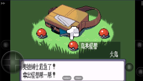 口袋妖怪蓝宝石截图1